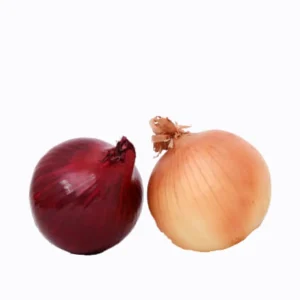 Onion